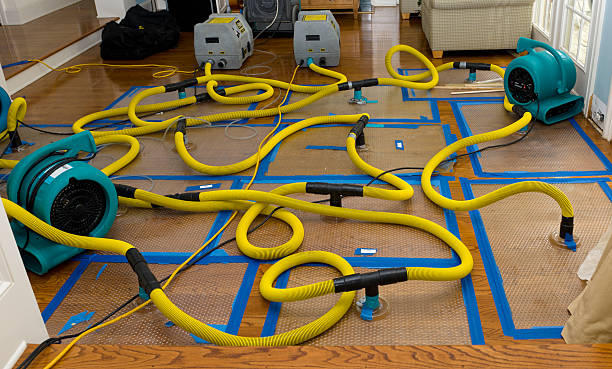 Professional Water Extraction technician working in Addison, AL